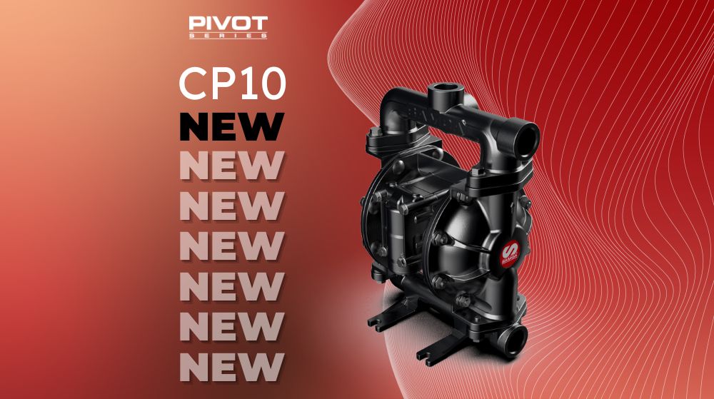 News CP10