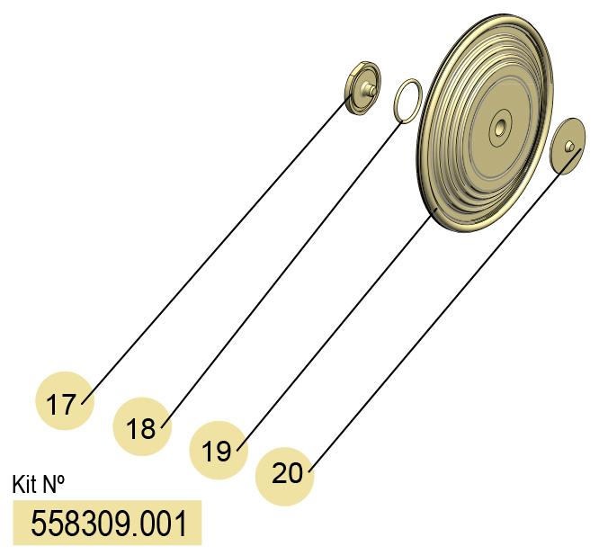 01] DF-50 FLEXIBLE DIAPHRAGMS KIT (PTFE), 558309.001 CODE