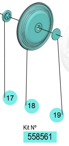 (NBR) DP-200/250 DIAPHRAGMS KIT, 558561 CODE