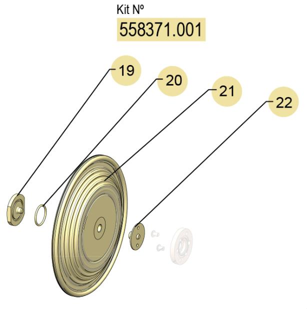 01] (PTFE) DF-100 FLEXIBLE DIAPHRAGMS KIT , 558371.001 CODE