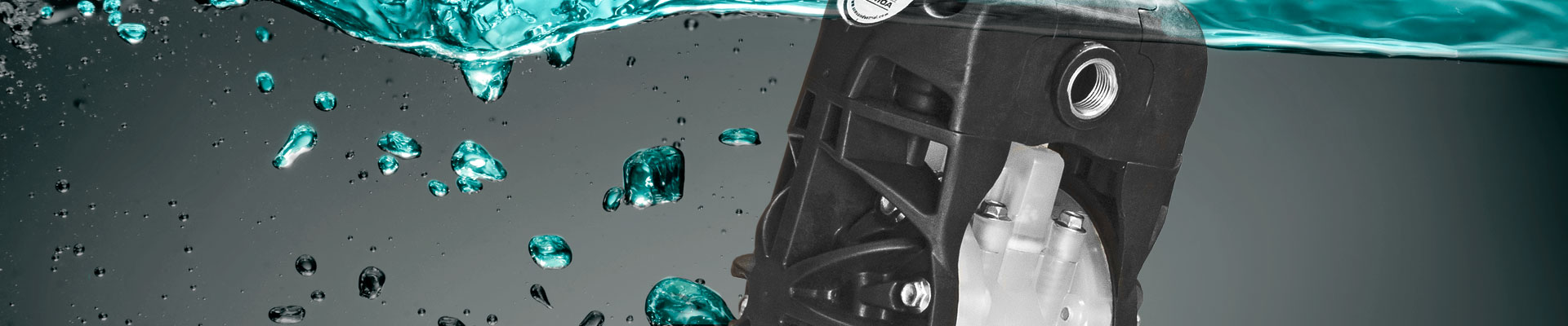 banner title