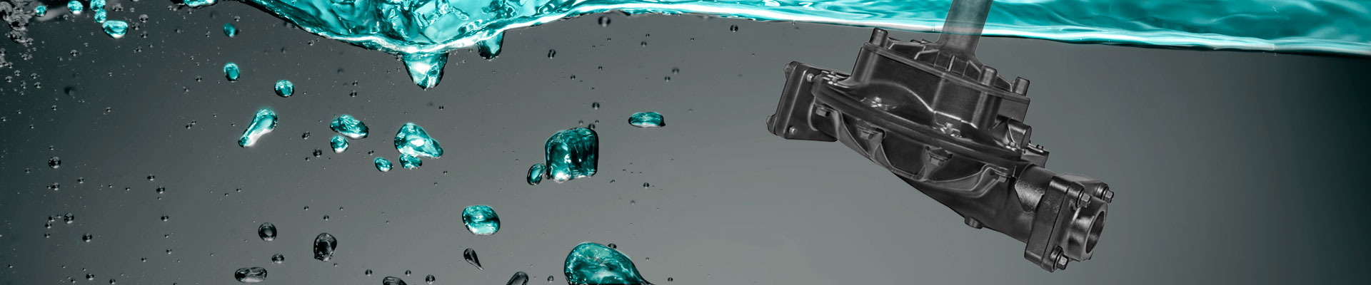banner title