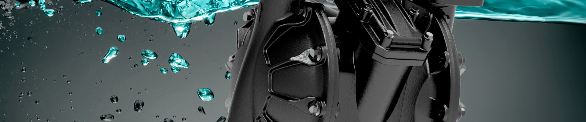 banner title